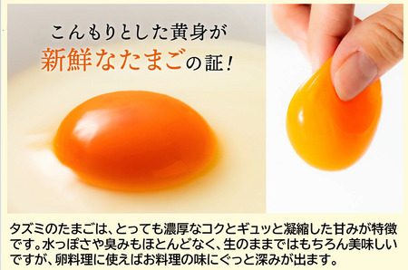 累計600万個突破！】【TVで紹介されました】【定期便】タズミの卵（30