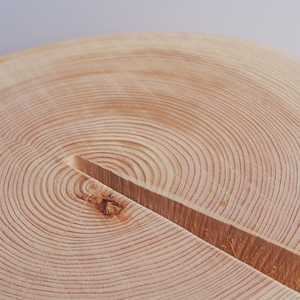 森の丸太くり抜きスツール＜ヒノキ／磨き丸太仕上げ＞/オットマン 本棚