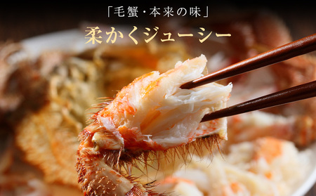 利尻・宗谷産 毛ガニ 特大サイズ（850g前後）1尾＜利尻漁業協同組合