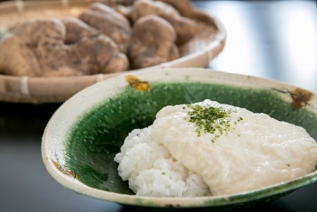 E060 徳地やまのいものすりおろしトロロ 100g×2個 | 山口県山口市