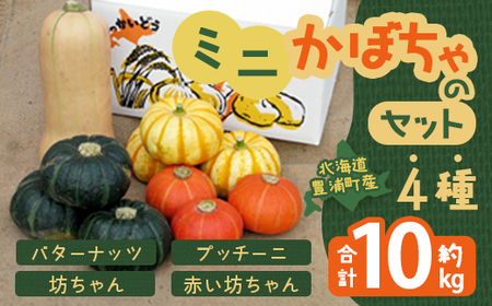 2026年8月下旬以降順次発送】ミニかぼちゃのセット（4種） 約10kg