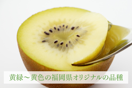 AC197.九州・福岡フルーツ王国より直送.人気の新ブランドキウイ