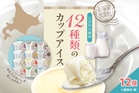 カップ アイスクリーム 95ml × 12 種 セット みるく 山わさび かぼちゃ