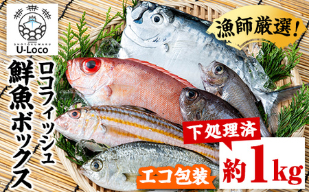 P78001】ロコフィッシュ 地魚 下処理済 鮮魚 ボックス 約1kg エコ包装