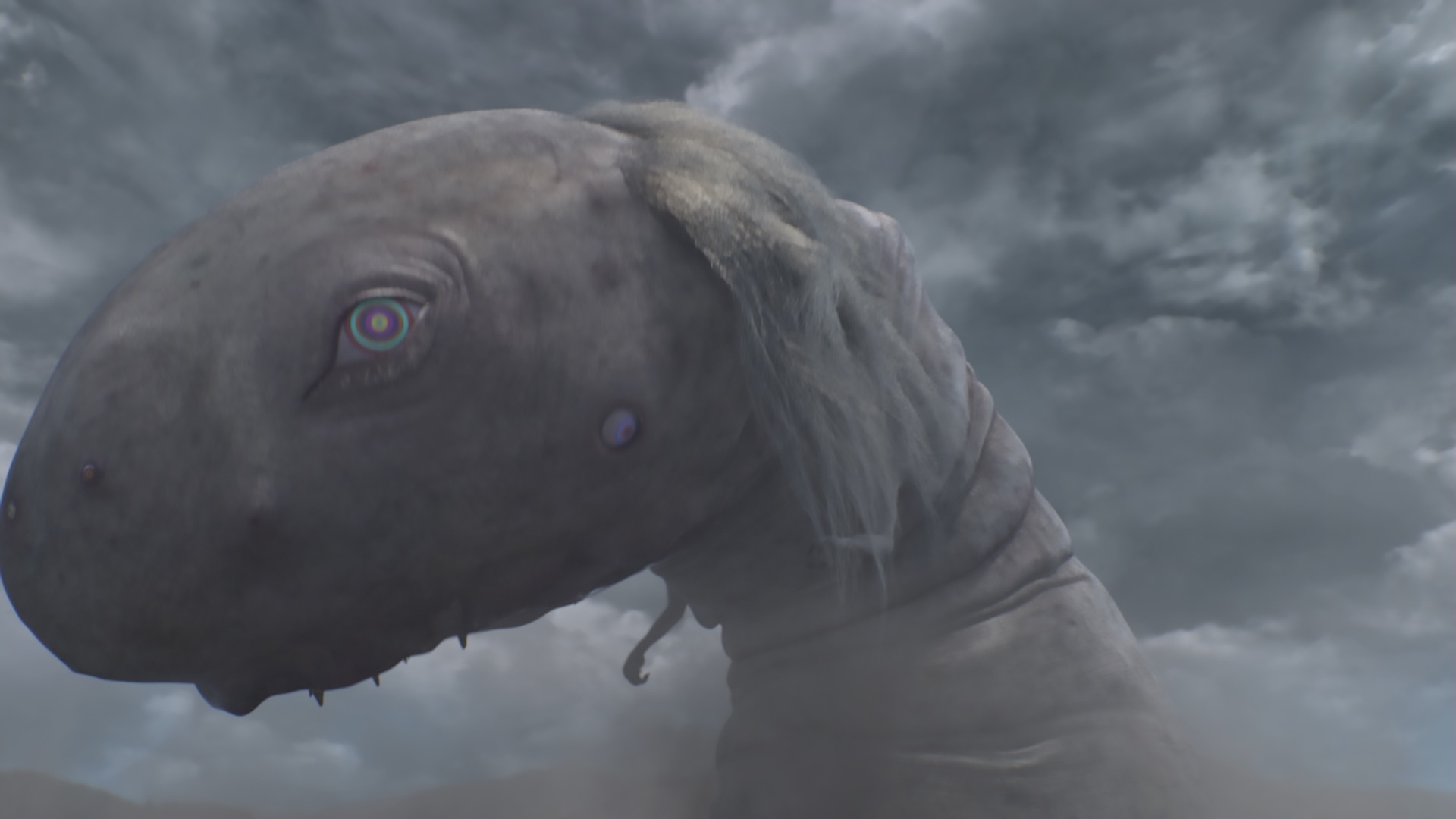 めめめのくらげ | カイカイキキ