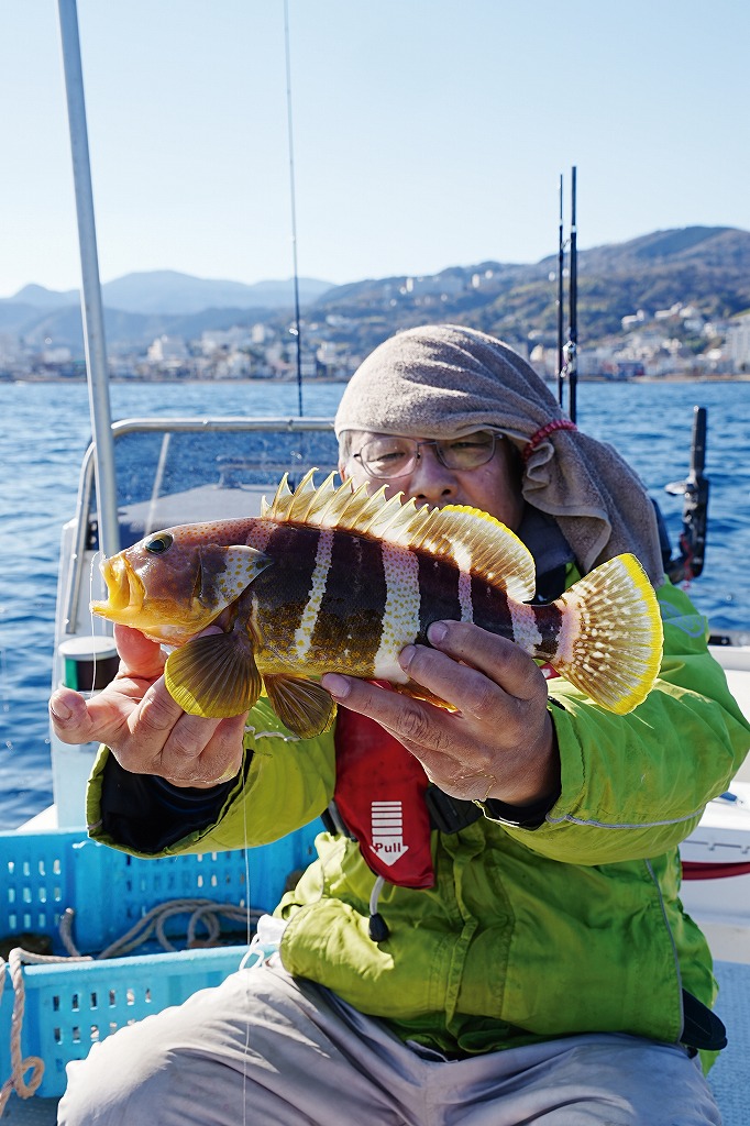コマセ釣りでカイワリをねらう／東伊豆・井上丸 舵オンライン