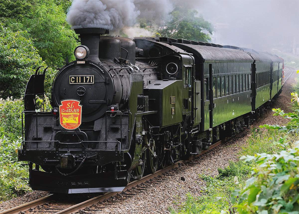 C11 171＋旧形客車の団臨走る｜鉄道ニュース｜2009年9月1日掲載｜鉄道