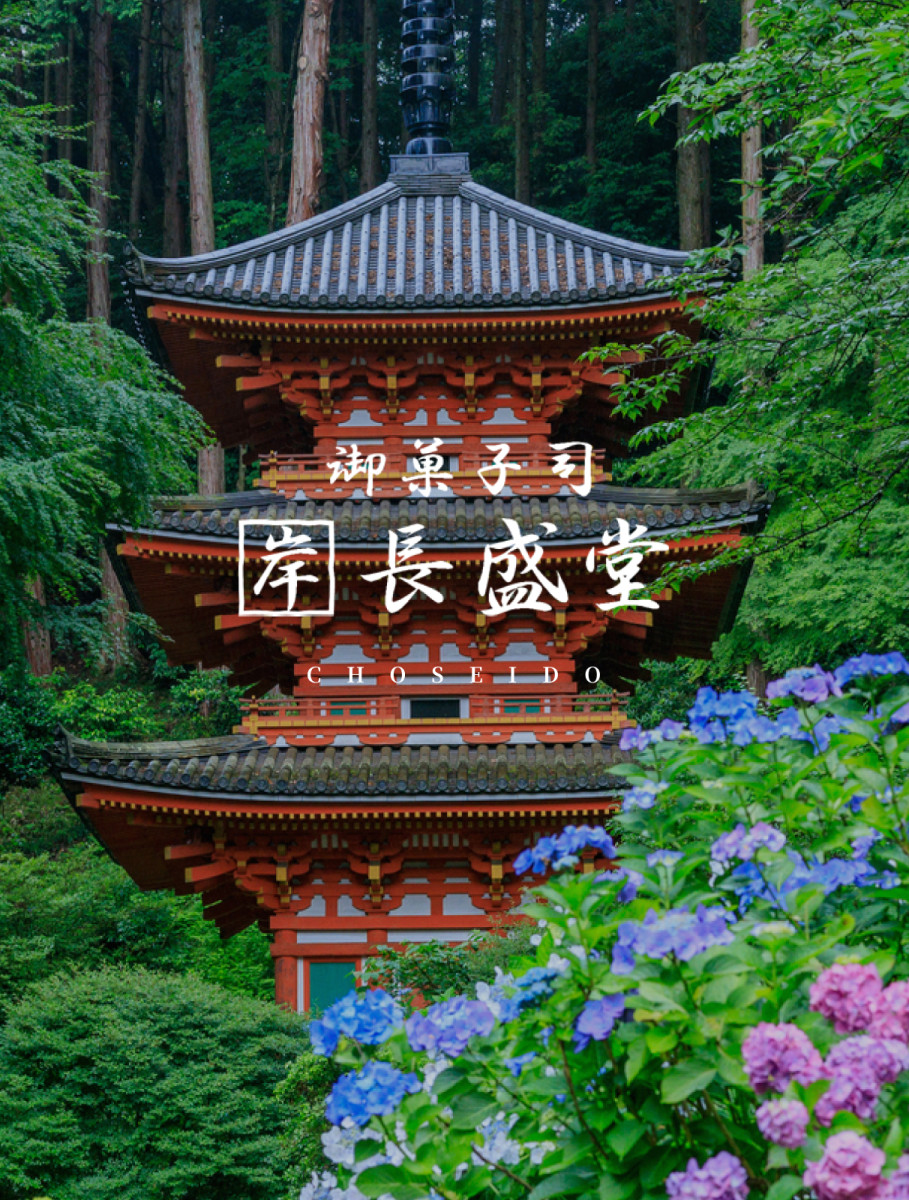 御菓子司長盛堂 | 京都木津川市の和菓子店