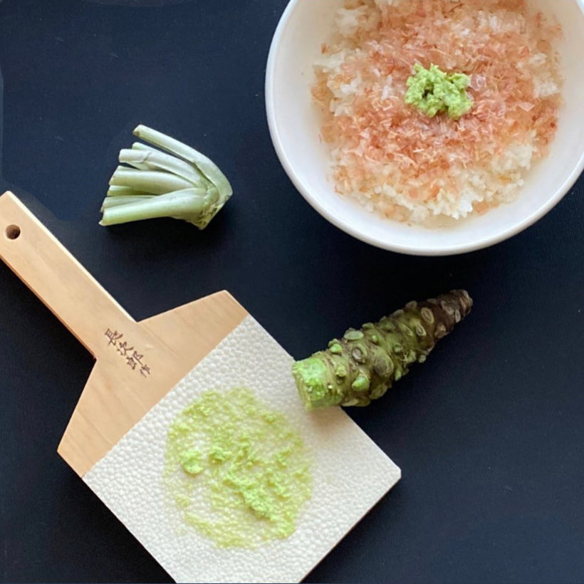 y-4-1.jpg?v=1710989854&width=1946