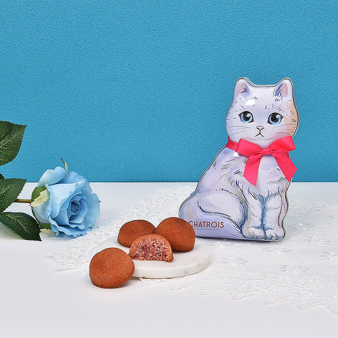 Otete～プチフィナンシェ～ 5個入｜猫スイーツ・猫モチーフお菓子通販