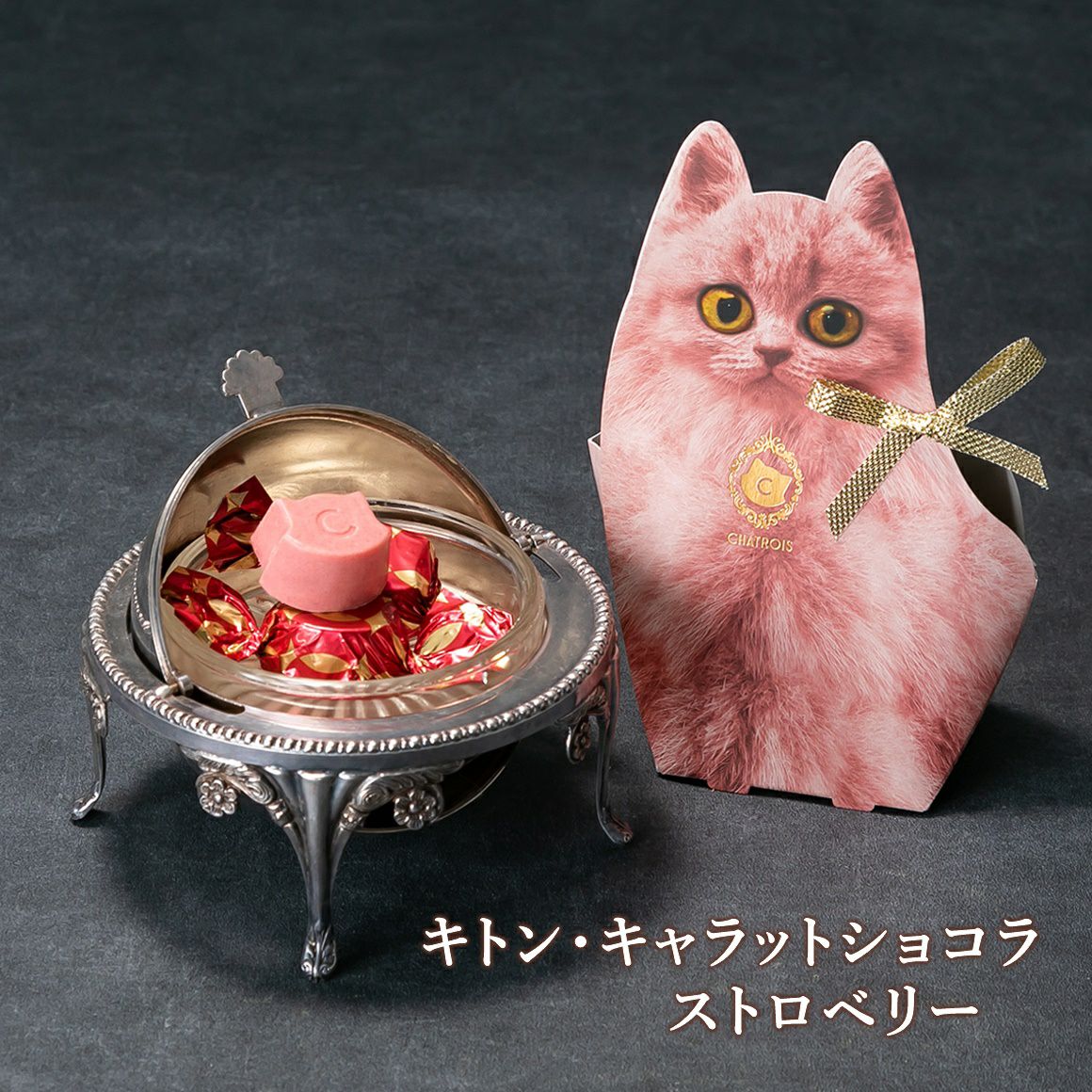 Otete～プチフィナンシェ～ 5個入｜猫スイーツ・猫モチーフお菓子通販