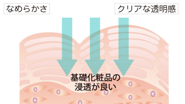 LES | シャンソン化粧品