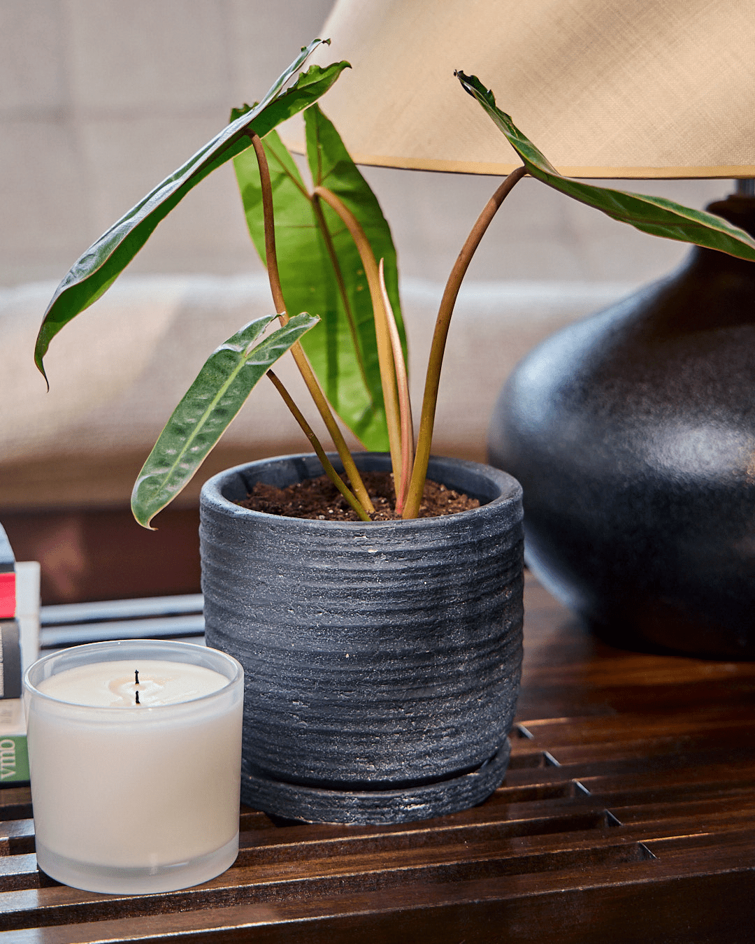 Paul Ceramic Pot And Saucer Set With Drainage