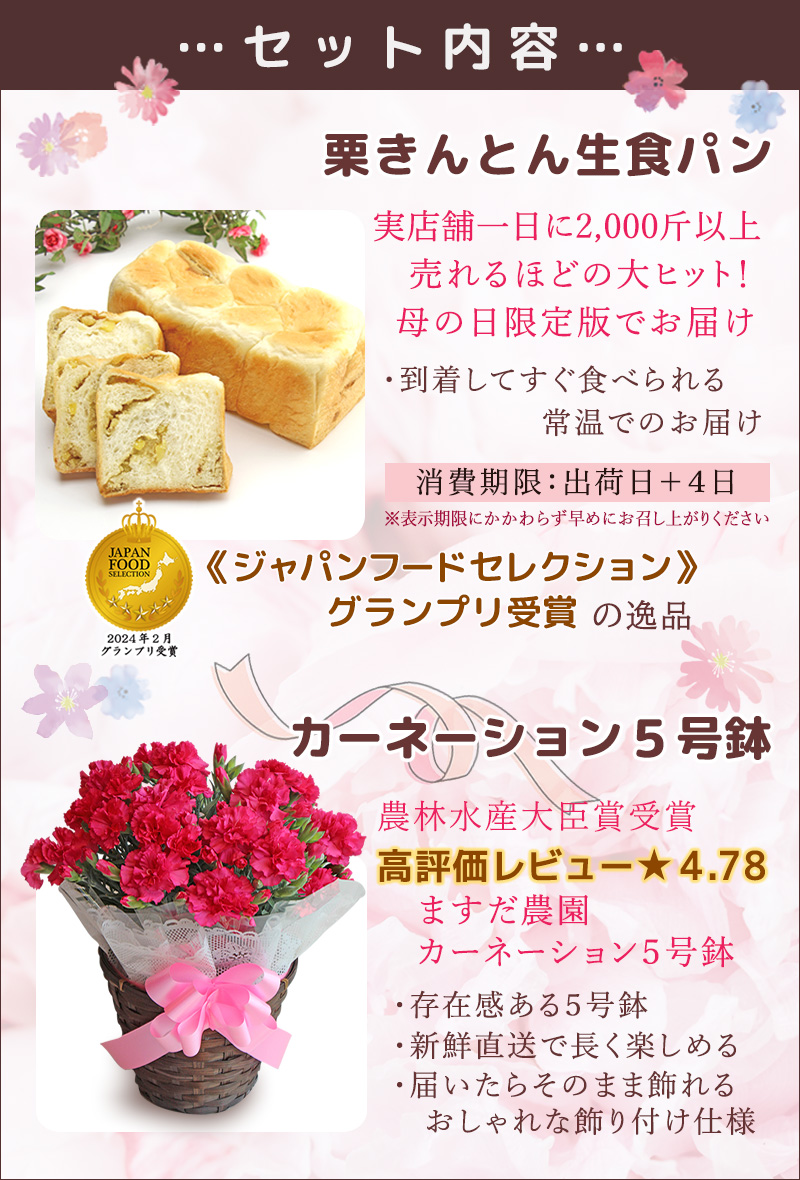 母の日ギフトカーネーション 5号鉢＆栗きんとん生食パン1斤送料無料