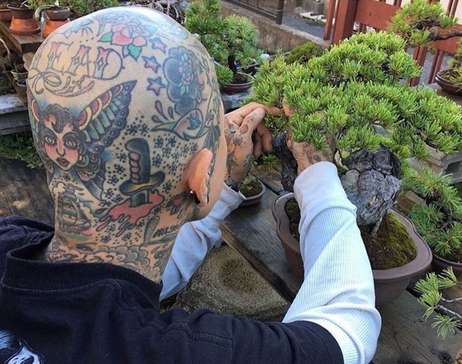 世界で活躍する盆栽作家「濱本祐介」さん【柏市】 | 千葉県のローカル