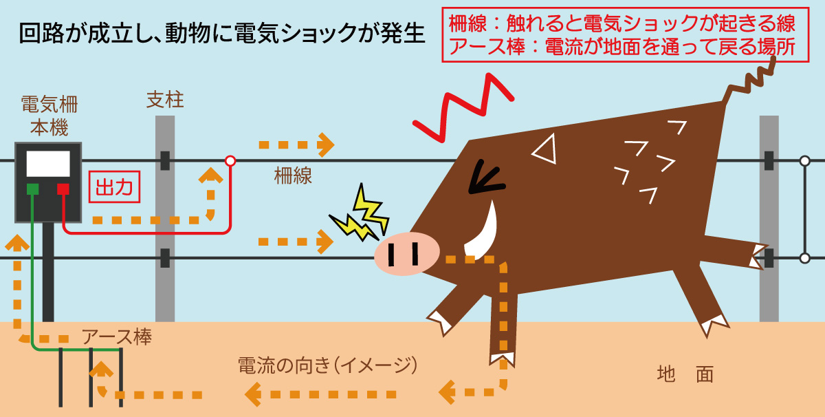 電気柵 | 鳥獣被害対策ドットコム