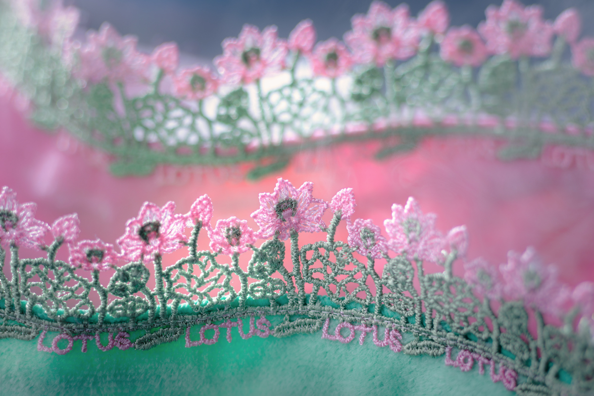 泥に染まることなく、逆境を乗り越える。「ロータス～蓮の花