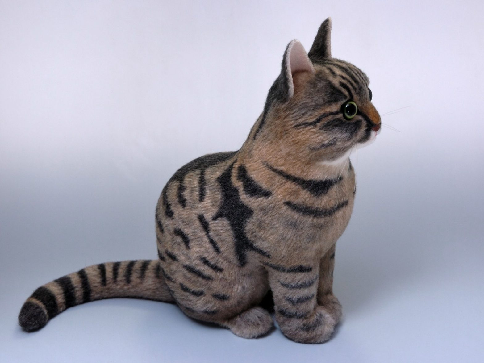 ネコ - nakimusicomusi