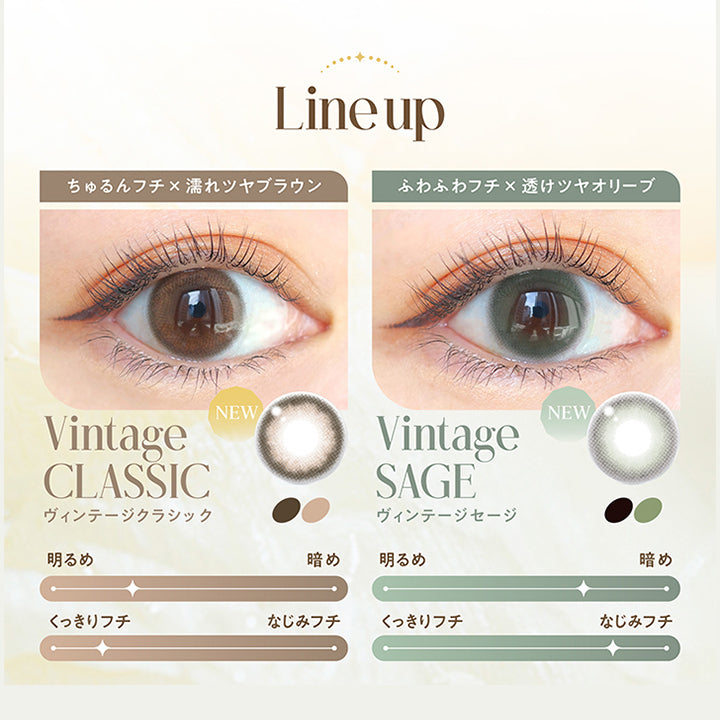 エンジェルカラーバンビシリーズヴィンテージワンデー(Angelcolor