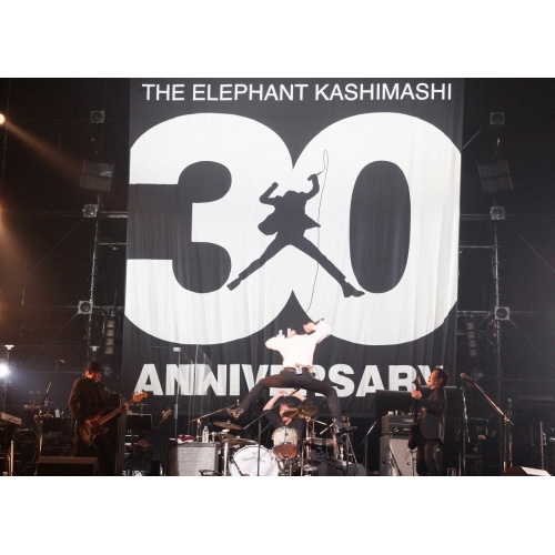 30th ANNIVERSARY TOUR 