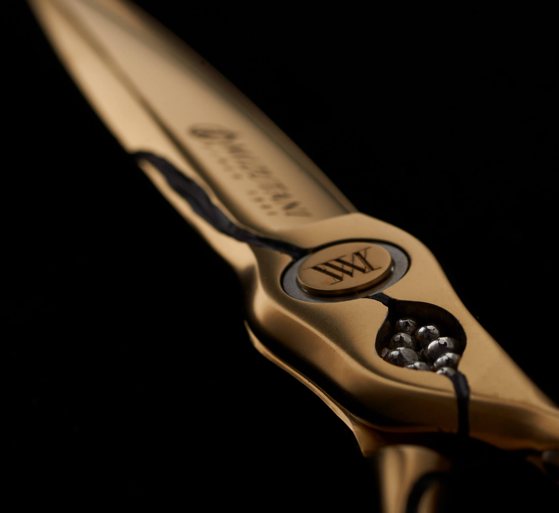 特集 新製品 2025 | ミズタニシザーズ