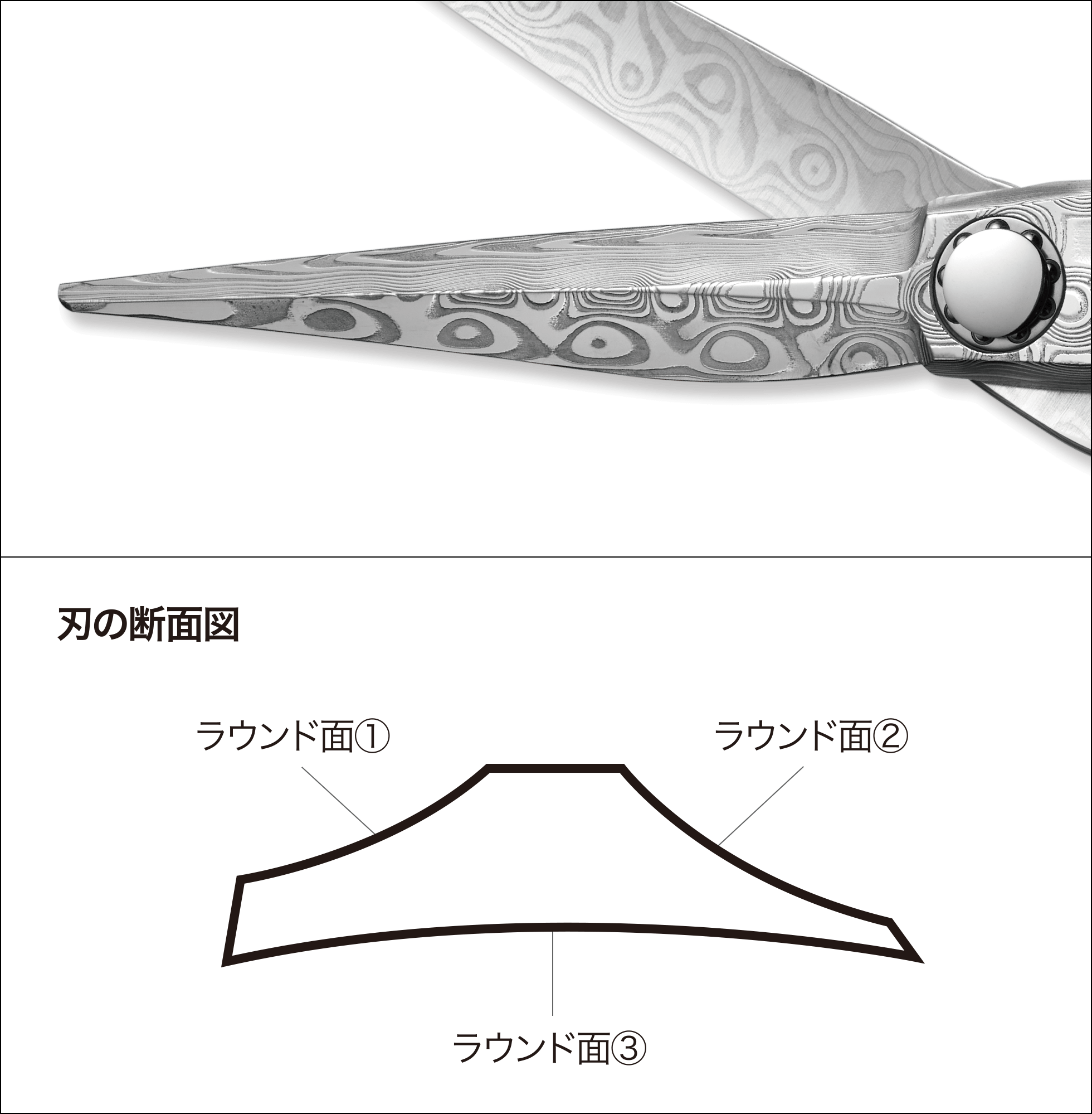 NEW DAMA INTEGRAL D-02 | ミズタニシザーズ