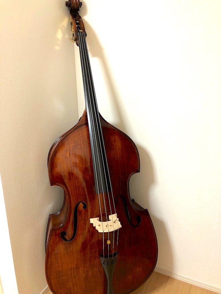 愛用しているコントラバス | 吹奏楽コントラバス初心者に向けて