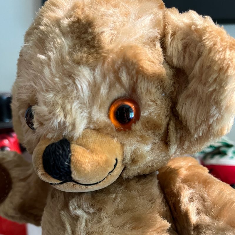 ビンテージ チーキーベア メリーソート REGDタグ