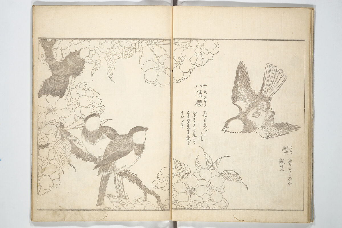 Kitao Shigemasa 北尾重政 - True Depictions of Bird and Flower