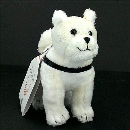 AKITAINU: カロラータのSTAFF BLOG