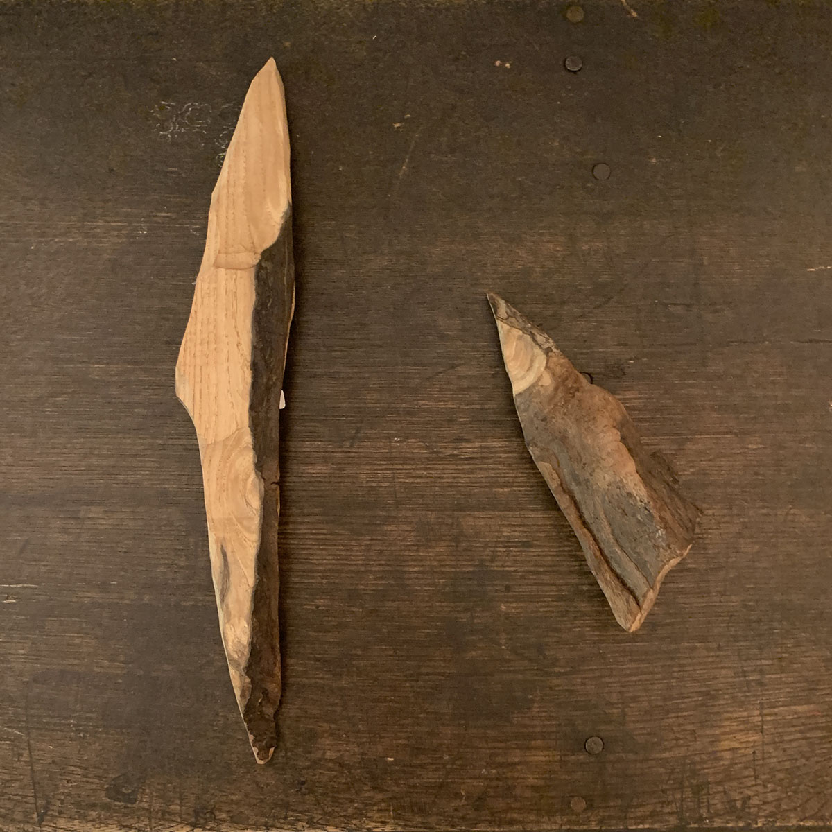 アノオンシツの木を使った作品が「TSUJI AKI SOLO EXHIBITION / A TREE