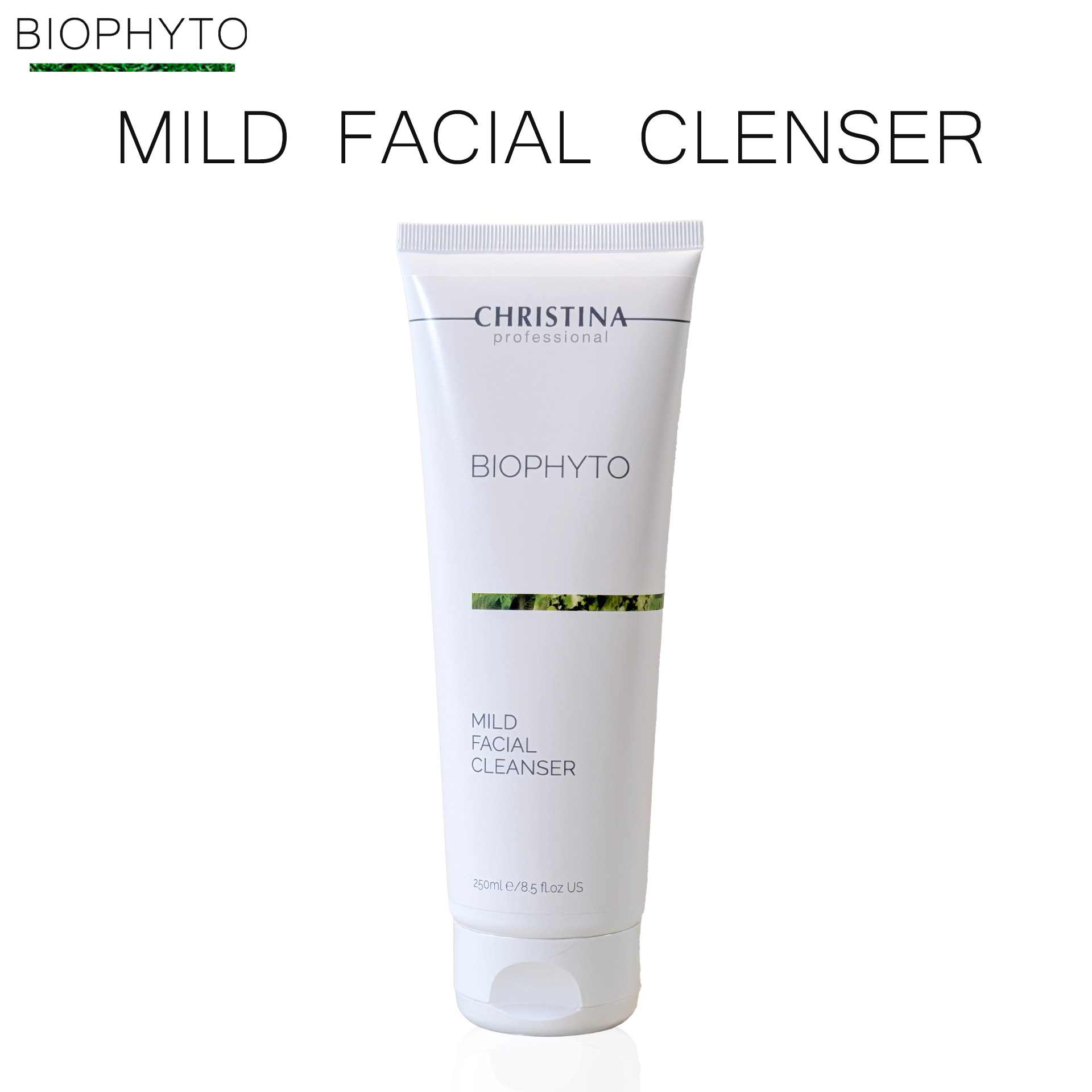 ザタークリーム |クリスティーナ-ビオフィート|owl cosme