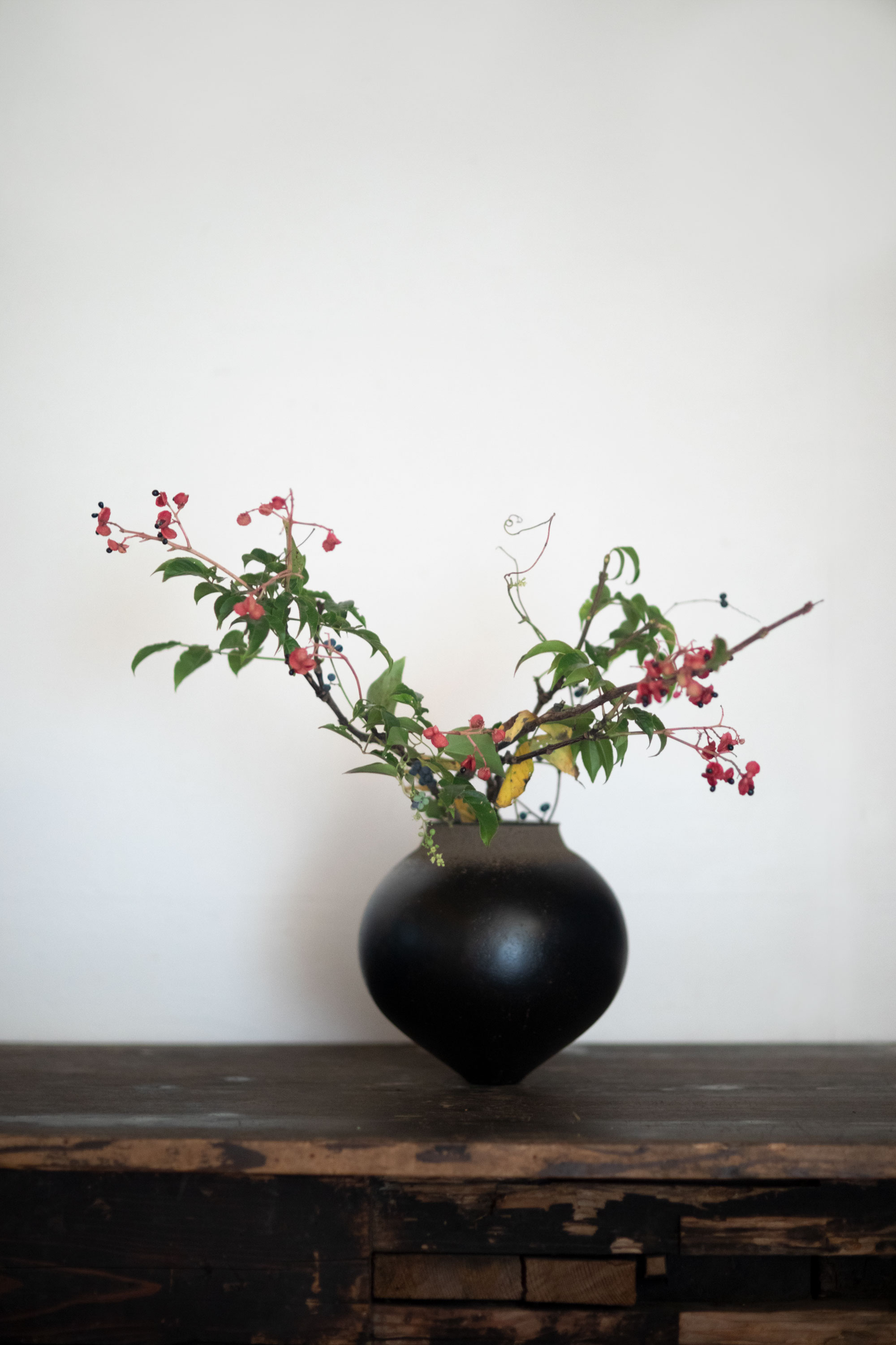 小灯の会 Vol.21 花師 齊藤謙大「秋の野草 いけばなワークショップ