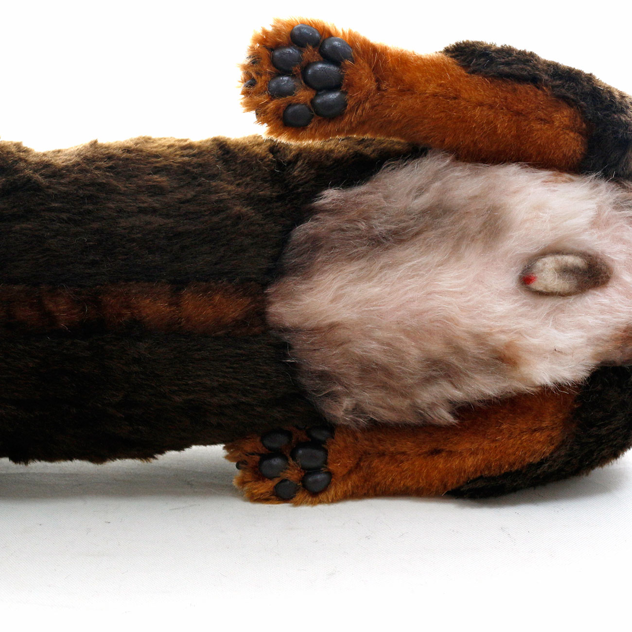 221003 リン ミニチュアダックスフンド - 【公式】ぬいぐるみの