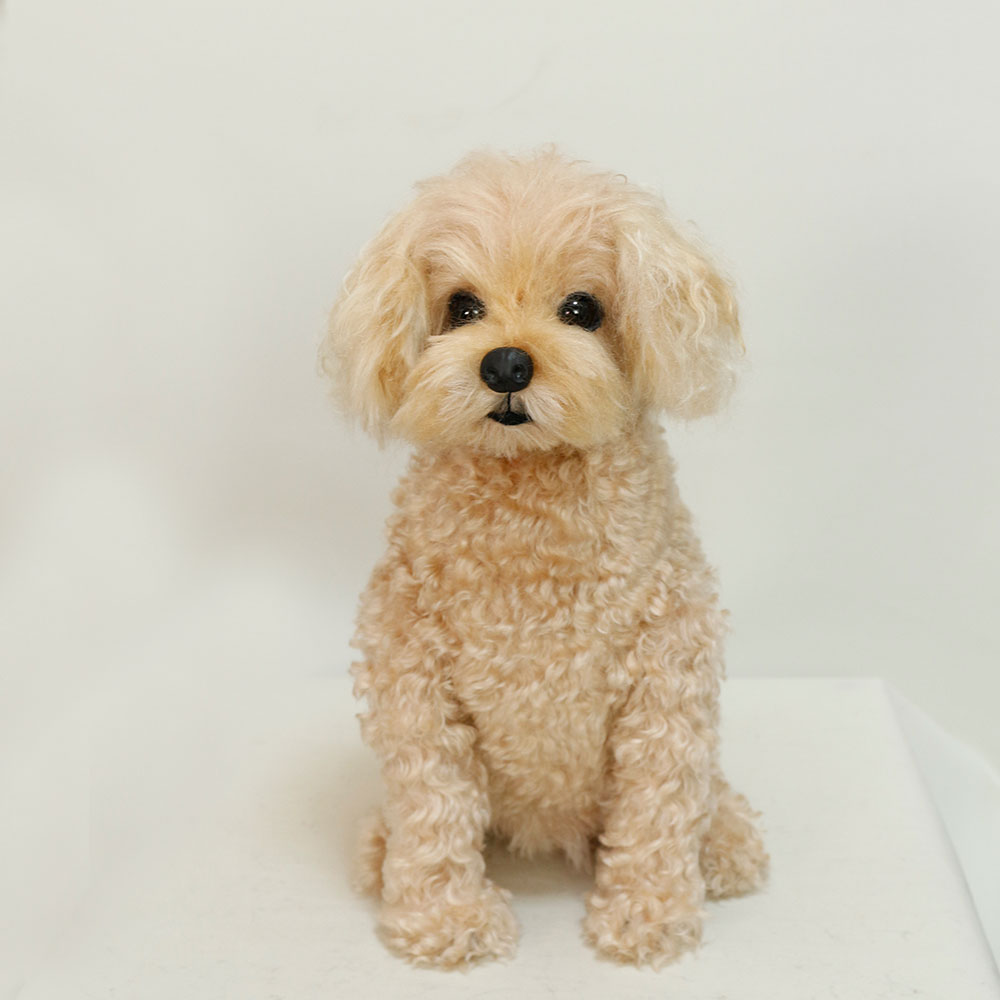 230720 ミントちゃん トイプードル - 【公式】ぬいぐるみのオーダー