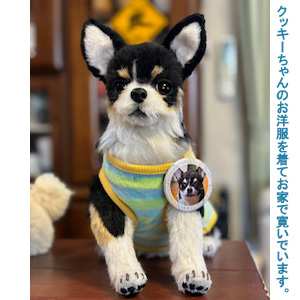 240401 クッキーちゃん チワワ - 【公式】ぬいぐるみのオーダーメイド