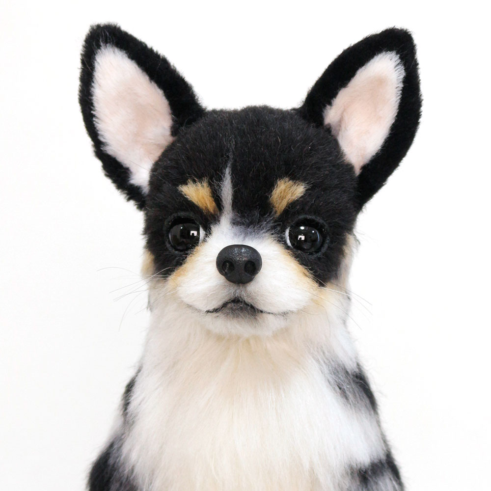 240401 クッキーちゃん チワワ - 【公式】ぬいぐるみのオーダーメイド