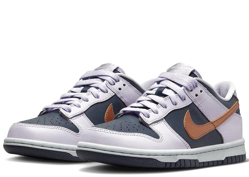 Nike Dunk Low SE Copper Swoosh (GS) – Court Order