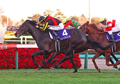 有馬記念(G1) 2026 特集 出走予定馬・競馬予想・レース傾向 - WIN!競馬