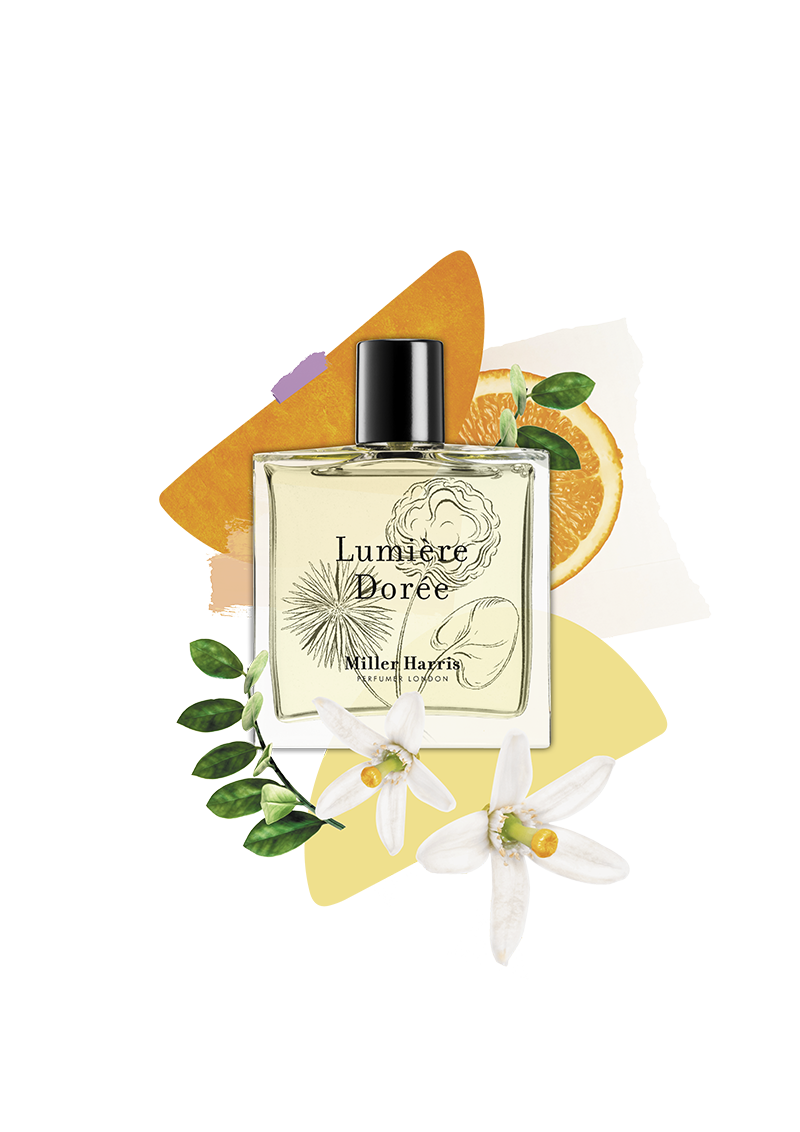 Lumière Dorée Eau de Parfum | Miller Harris – Miller Harris US