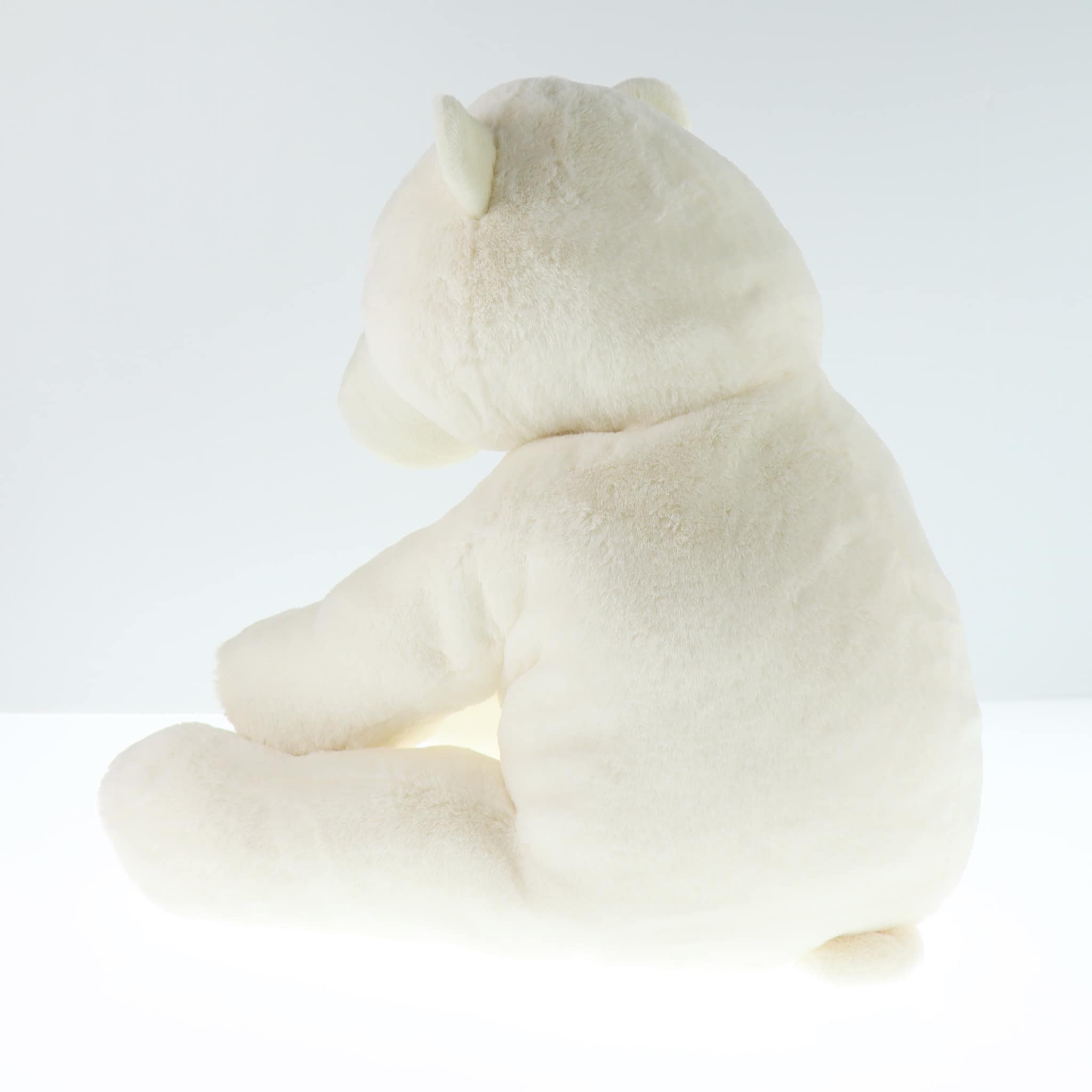 Polar Bear – CLÉMENT