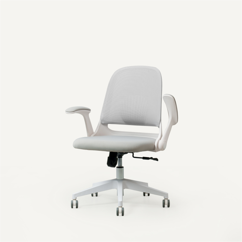 オフィスチェア・OC5 | FlexiSpot 公式ストア