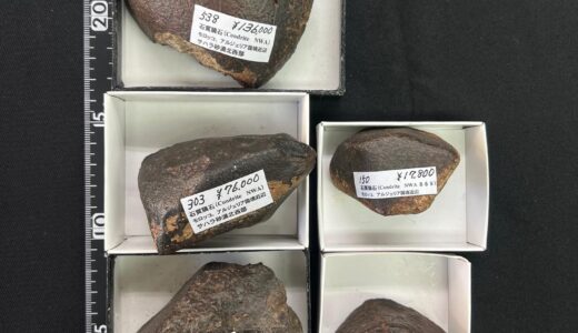 隕石標本/テクタイト」の記事一覧 | クリスタル・ワールド御徒町店