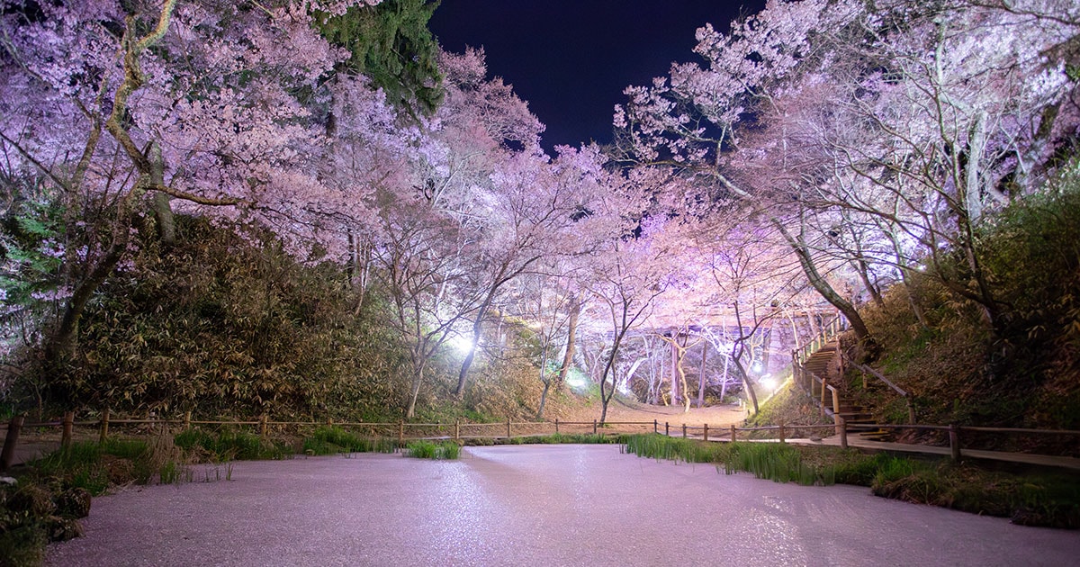 img_9aea6eb4e72a29954df39a7971