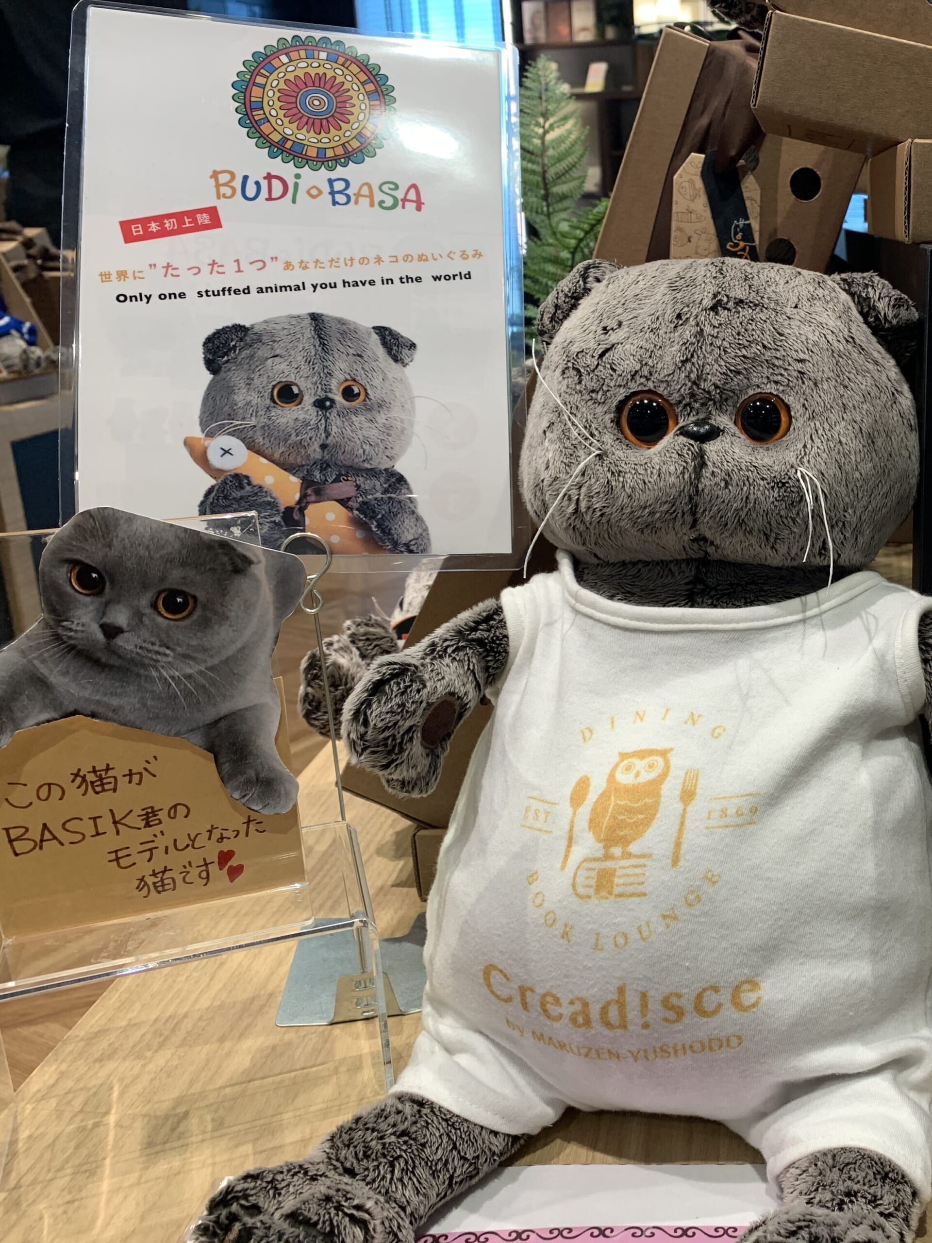 Creadisce（クレアディスケ）