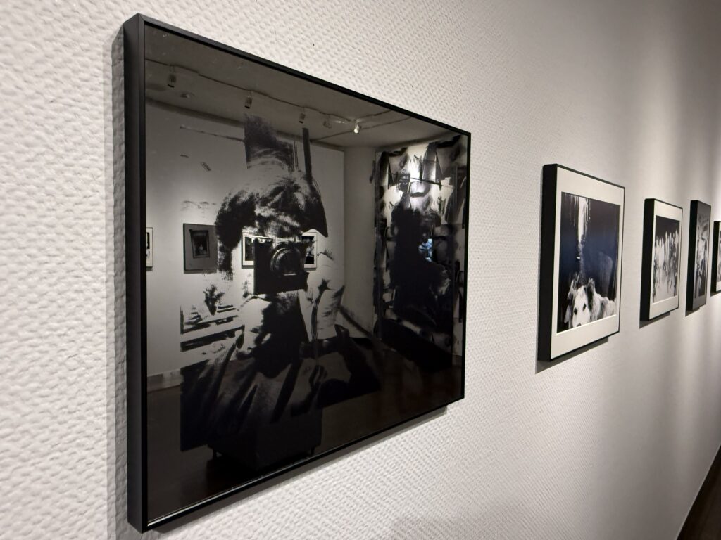 森山大道が見た視線から新たな感性と創造を紡ぐ「複製される感性 DAIDO