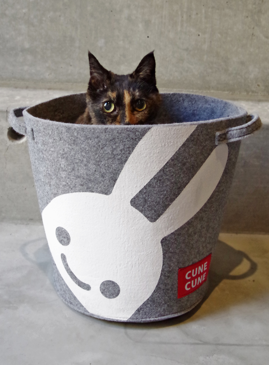 フェルトラウンドボックス｜ウサギがいる｜CUNE ONLINE STORE