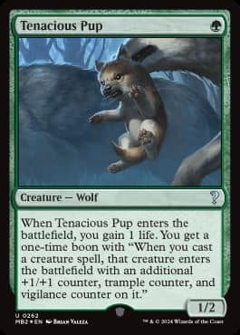 ミステリーブースター2の製品内容を調べてまとめてみた【当たり方や