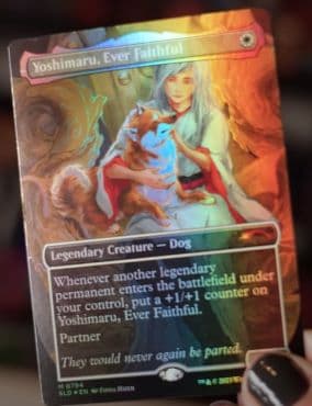 猫犬の統率者デッキ「Raining Cats and Dogs」がSecretLairに！内容