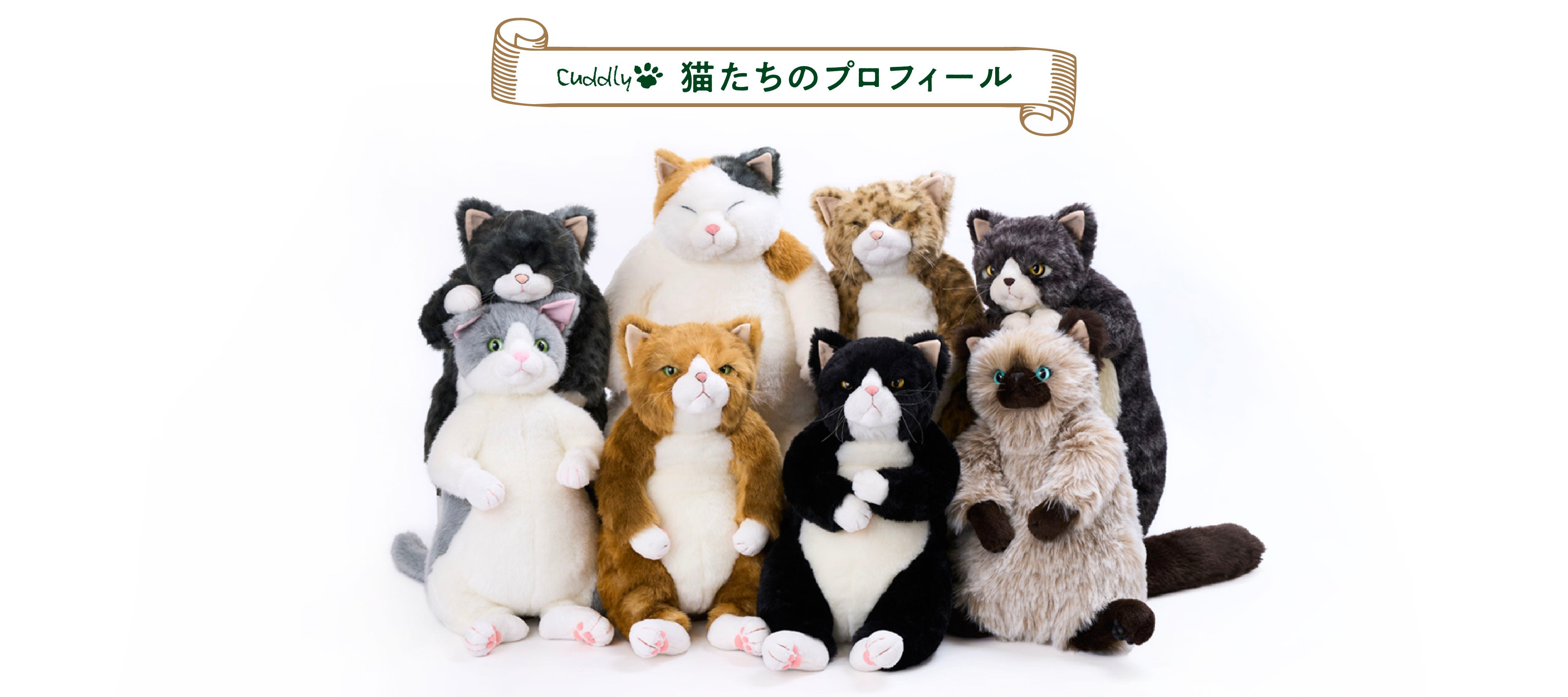 Cuddly (カドリー) 公式オンラインショップ 猫のぬいぐるみ – Cuddly